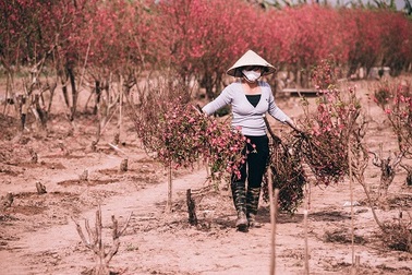 Ngắm ảnh Việt Nam thanh bình, đầy “mời gọi” trên đất Pháp