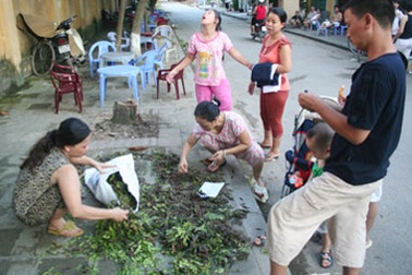 Những “trùng hợp lạ lùng” trong vụ mất trộm sưa 