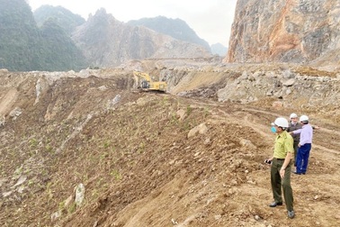 "Xén" 382.000m2 rừng phòng hộ để mở rộng nhà máy xi măng ở Ninh Bình