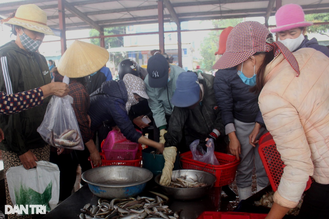 Ngày đầu năm nhộn nhịp tại cảng cá lớn nhất Nghệ An - 4