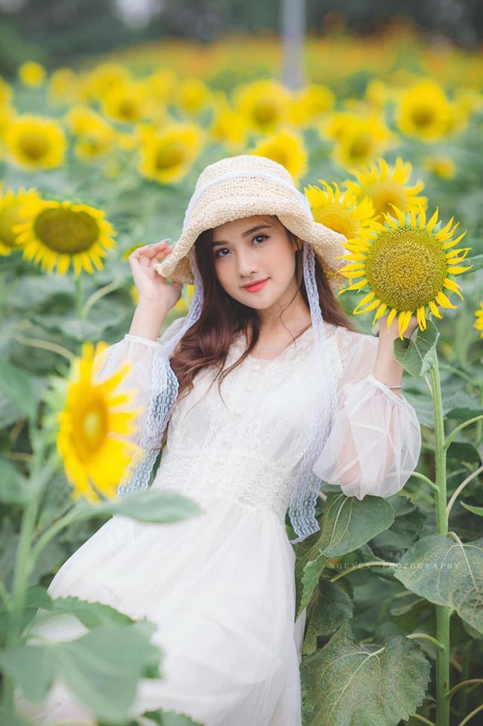 “Thiên thần đồng phục” khoe sắc bên hoa hướng dương - 5 “Thiên thần đồng phục” khoe sắc bên hoa hướng dương - 5