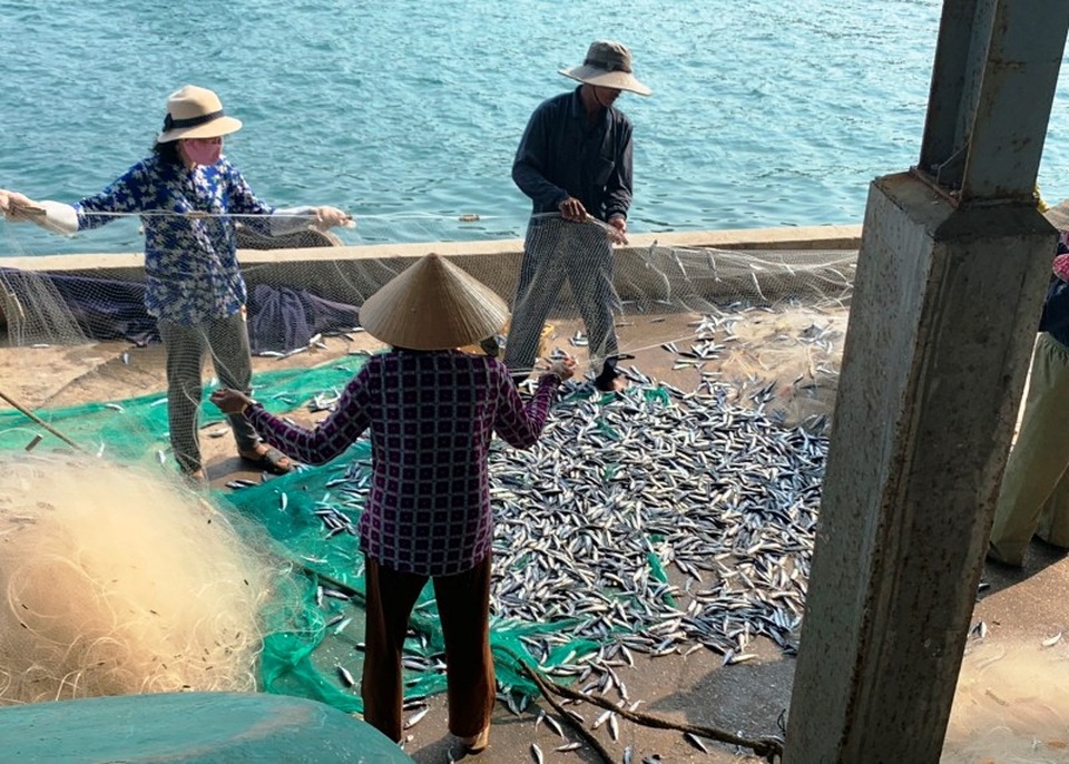 Bẫy tôm hùm biển, ngư dân kiếm chục triệu sau 2 đêm ra khơi - 3