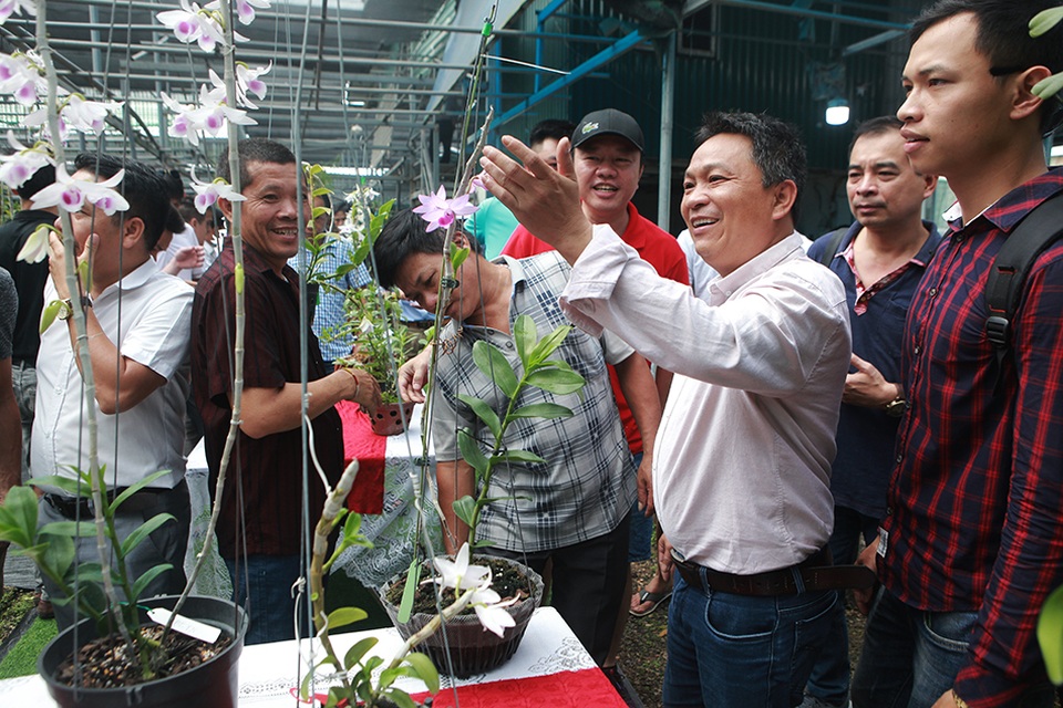 Chiêm ngưỡng những giỏ hoa lan đột biến hiếm có giá hàng trăm triệu - 2 Chiêm ngưỡng những giỏ hoa lan đột biến hiếm có giá hàng trăm triệu - 2