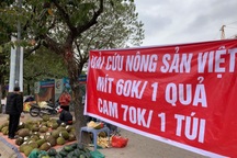 Hơn 500 xe hàng ùn ứ ở Quảng Ninh, Lạng Sơn quay đầu, tiêu thụ ở nội địa