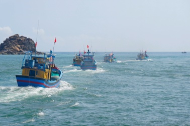 Khẩn trương tìm kiếm tàu cá cùng 8 ngư dân mất liên lạc trên biển