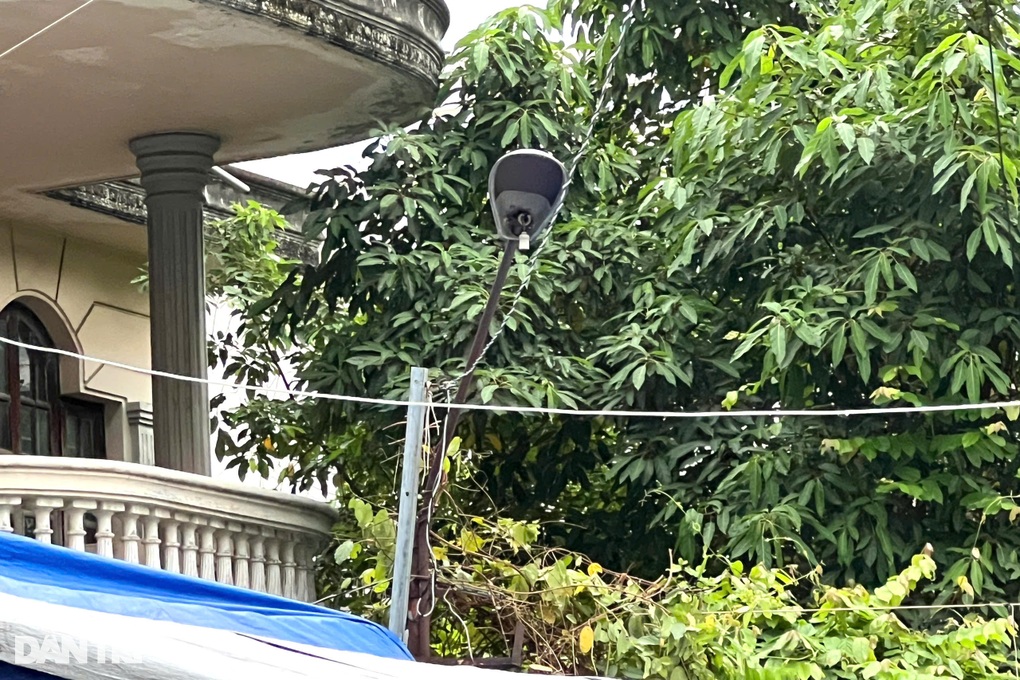 Cắt dây leo trên cổng nhà, người đàn ông ở TPHCM bị điện giật tử vong - 1 Cắt dây leo trên cổng nhà, người đàn ông ở TPHCM bị điện giật tử vong - 1