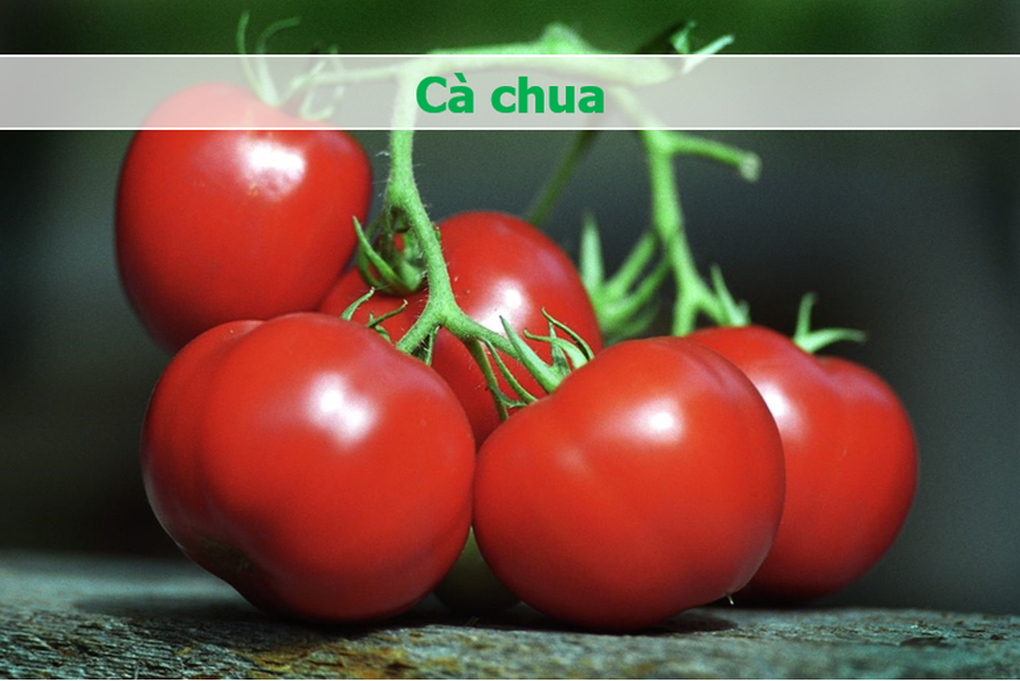 Những loại trái cây màu đỏ giúp giảm mỡ máu, ngừa ung thư - 3 Những loại trái cây màu đỏ giúp giảm mỡ máu, ngừa ung thư - 3