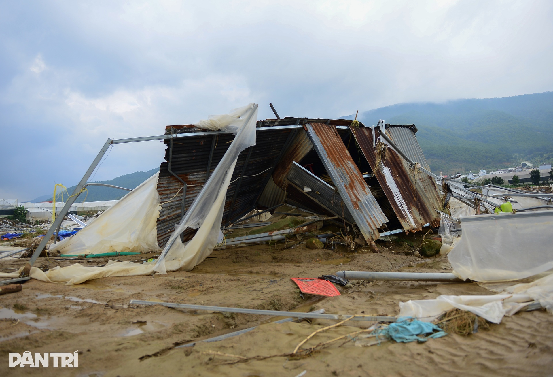 Lũ lịch sử cuốn phăng “thủ phủ” rau Lâm Đồng, đồng ruộng hoang lạnh - 5 Lũ lịch sử cuốn phăng “thủ phủ” rau Lâm Đồng, đồng ruộng hoang lạnh - 5