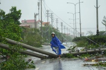 Bão Yagi đang "càn quét" Hà Nội, gió mạnh cấp 10