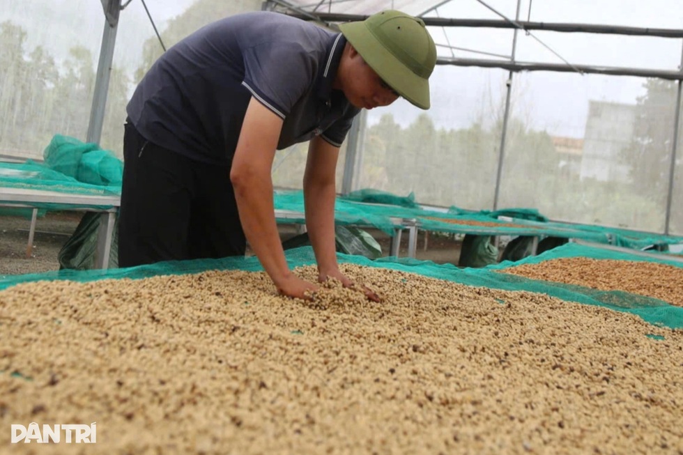 Tỉnh từng có 2 thị xã cùng 11 huyện theo thứ tự từ H1 đến H11 - 5 Tỉnh từng có 2 thị xã cùng 11 huyện theo thứ tự từ H1 đến H11 - 5