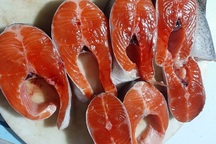 Cá hồi Sa Pa giảm giá sốc vẫn ế: Gian nan trong việc "giải cứu" tại Hà Nội