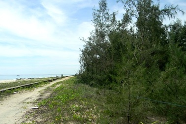 Nữ đại gia bí ẩn buông chục tỷ đồng mua đất ven biển Tam Kỳ