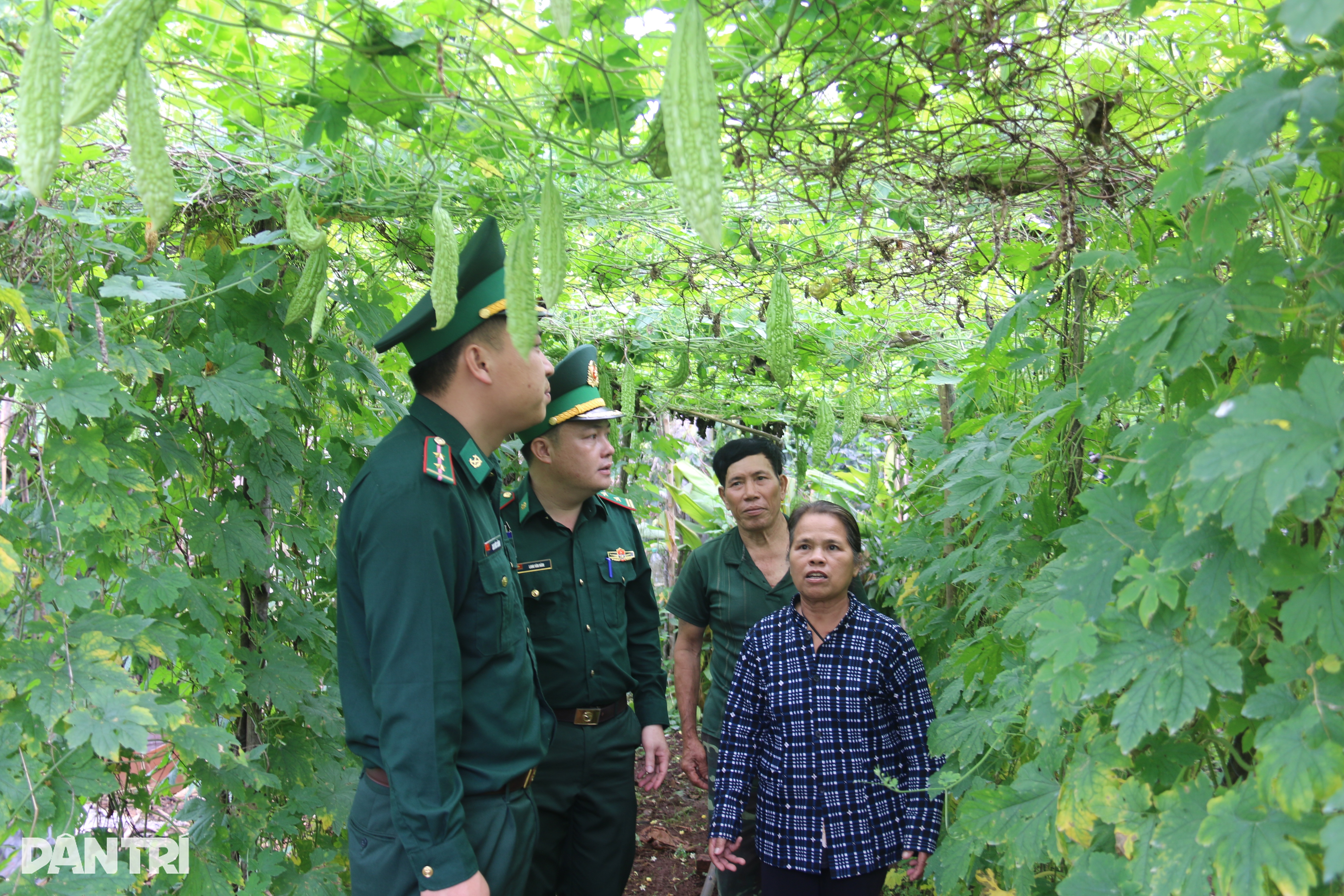 Chiến sĩ quân hàm xanh nơi phên dậu Tổ quốc và những người con có nhiều bố - 2 Chiến sĩ quân hàm xanh nơi phên dậu Tổ quốc và những người con có nhiều bố - 2