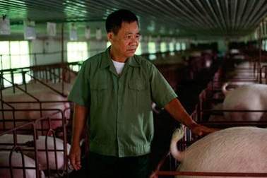 Cách chức tổng giám đốc tập đoàn, đến ngày tàn đại gia mất nghiệp