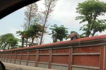 Thực hư khu vườn của con trai Bí thư Hải Dương