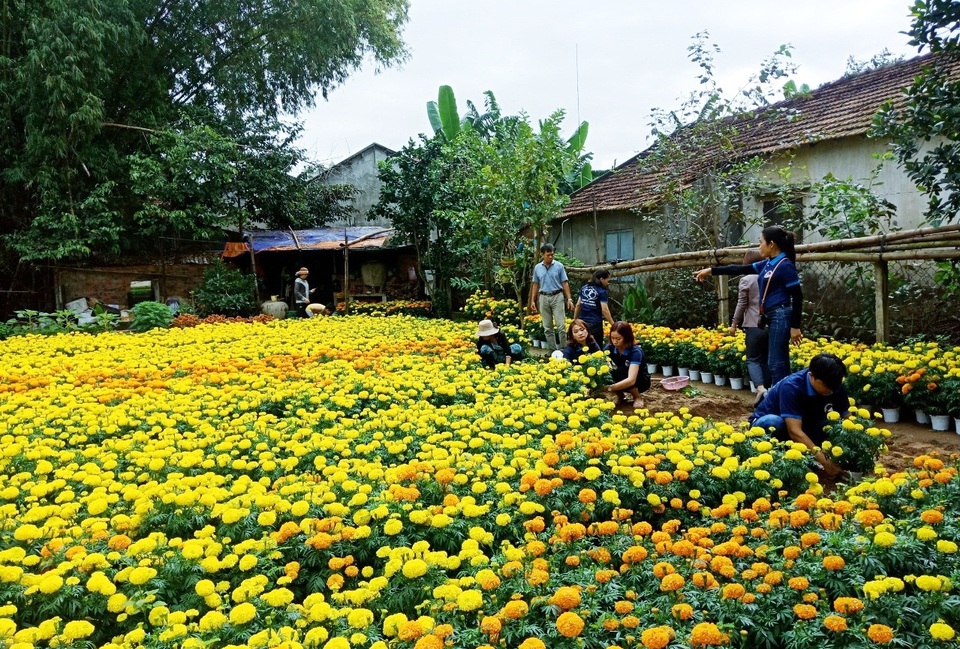 Chăm được 2.000 chậu hoa, con trai xin hết đem bán để hỗ trợ Tết cho người nghèo - 2 Chăm được 2.000 chậu hoa, con trai xin hết đem bán để hỗ trợ Tết cho người nghèo - 2