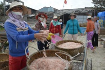 Mùa ruốc muộn mang tiền tỷ cho ngư dân Quảng Ngãi