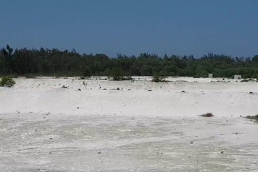 Hàng chục hecta rừng phòng hộ bị đốn hạ để đào hồ nuôi tôm trên cát trái phép