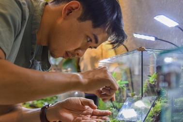 Chàng trai mang cả "khu rừng" nhiệt đới vào bình thủy tinh