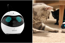 Công ty Trung Quốc chế tạo robot chơi với mèo khi chủ vắng nhà