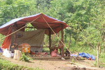 Truy nã nghi phạm sát hại người tình trong rừng rồi bỏ trốn