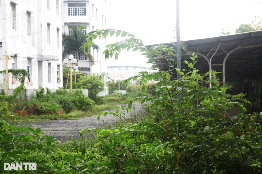 Bạc Liêu: Cỏ mọc um tùm trong khu nhà ở sinh viên được đầu tư hơn 80 tỷ - 4 Bạc Liêu: Cỏ mọc um tùm trong khu nhà ở sinh viên được đầu tư hơn 80 tỷ - 4