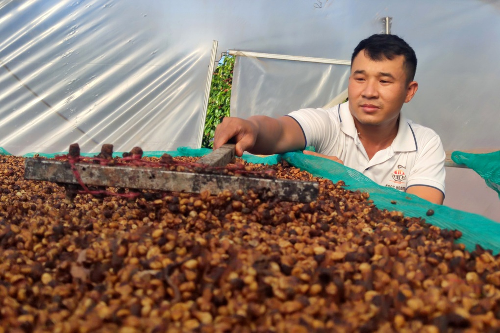 Cà phê được giá, dân chưa kịp mừng đã vội lo - 6