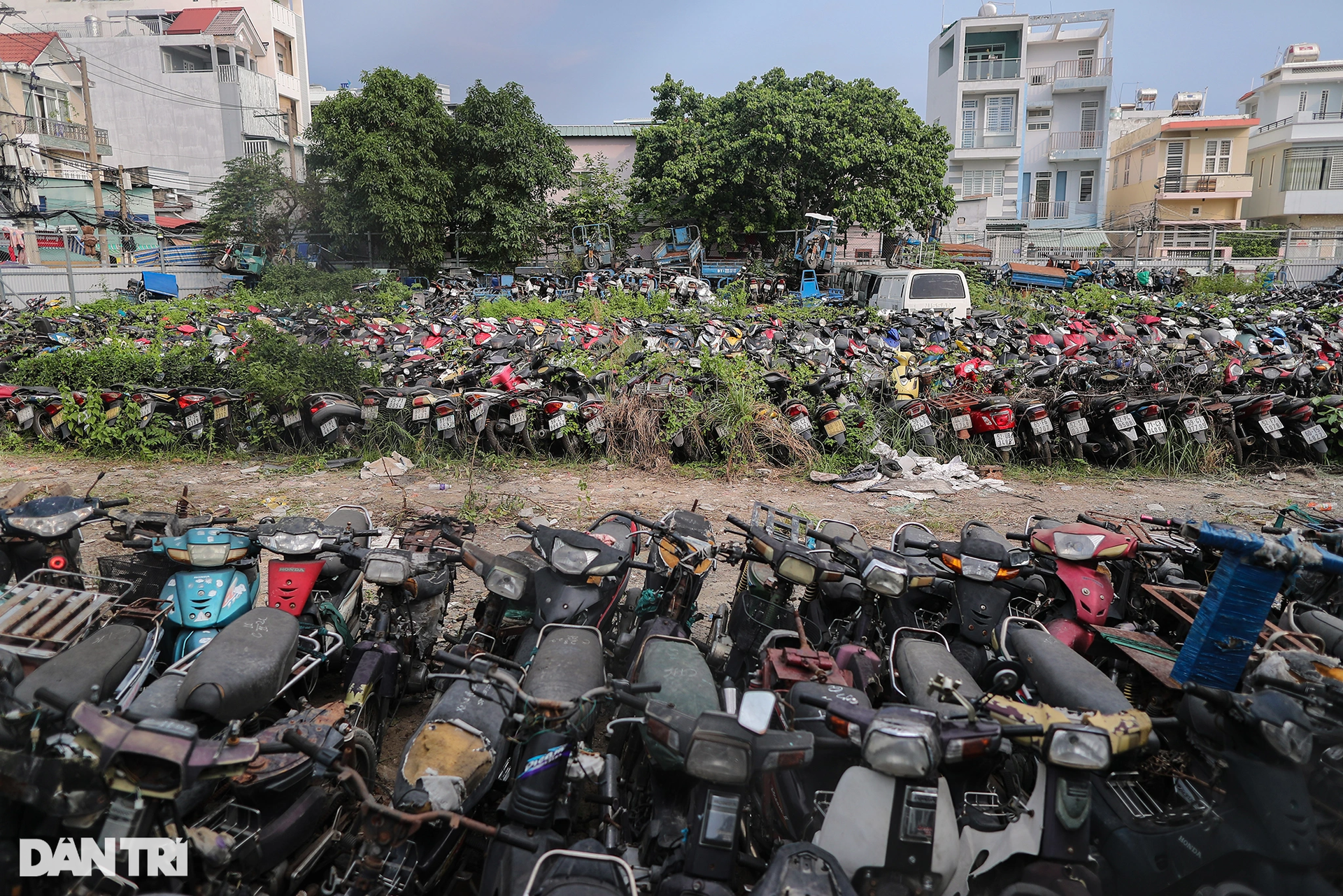 Xe vi phạm giao thông chất thành núi trong các kho tang vật ở TPHCM - 8 Xe vi phạm giao thông chất thành núi trong các kho tang vật ở TPHCM - 8