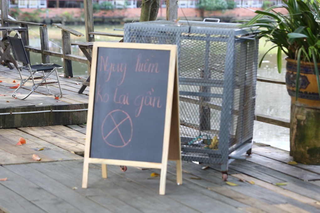 Kiểm lâm Đồng Nai truy bắt khỉ hoang tấn công nhiều người giữa phố - 2 Kiểm lâm Đồng Nai truy bắt khỉ hoang tấn công nhiều người giữa phố - 2