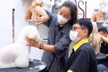 Gội đầu, lấy ráy tai cho chó giá 2 triệu đồng, chủ spa "hốt bạc" dịp Tết