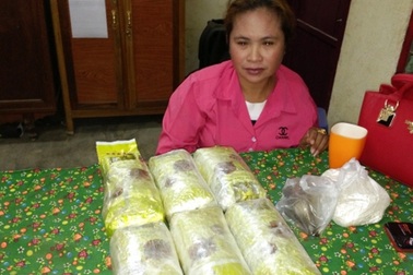 Phá 2 chuyên án, thu 16kg ma túy, 20 bánh heroin