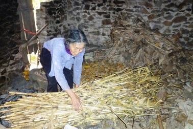 Mẹ già 82 tuổi nuôi hai con mù lòa, ngớ ngẩn