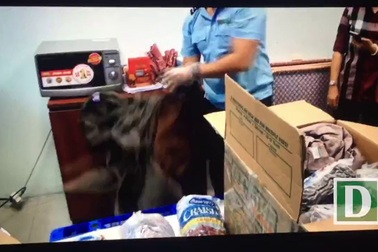 12kg cần sa ngụy trang trong các bịch trái cây khô