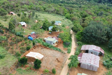 Nghịch lý người nghèo bán nhà, bán bò giống để lấy tiền sinh hoạt