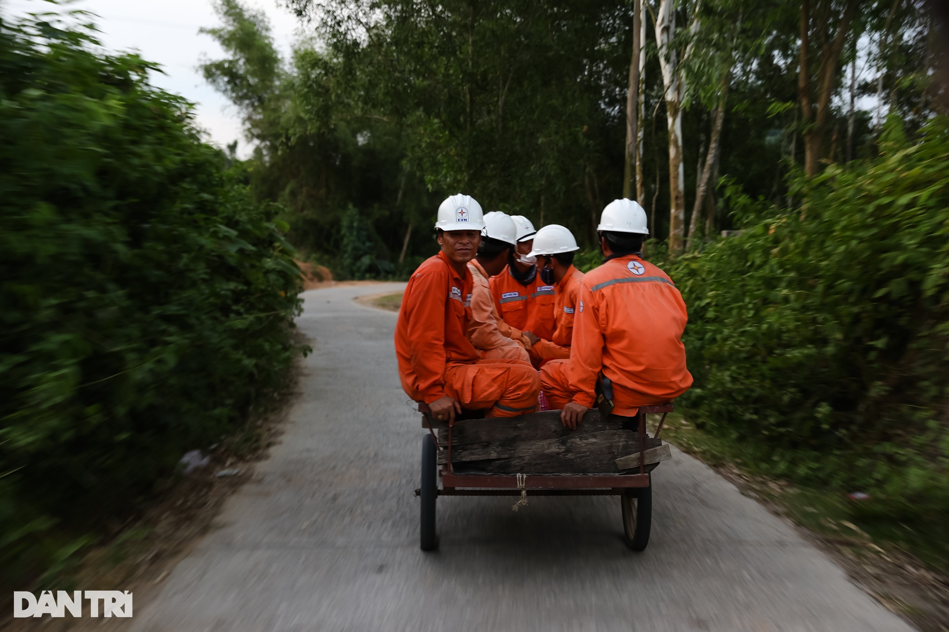 Những chú ong thợ trên đường dây 500kV mạch 3 - 15 Những chú ong thợ trên đường dây 500kV mạch 3 - 15