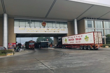 Lào Cai tạm dừng tiếp nhận xe chở trái cây xuất khẩu sang Trung Quốc