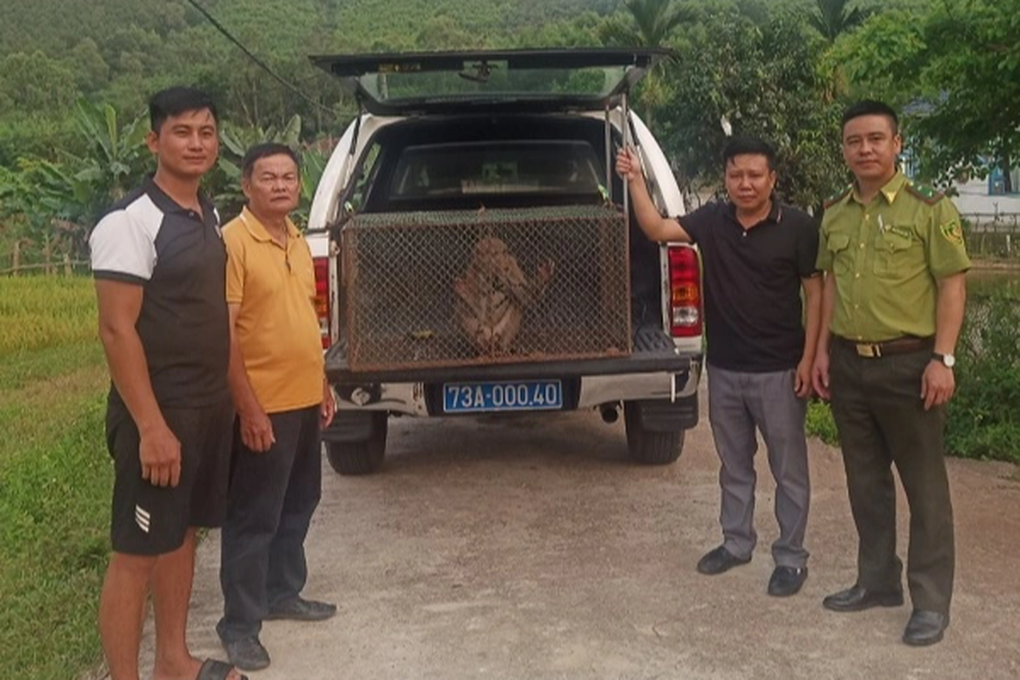Người dân giao nộp mèo rừng, khỉ mốc quý hiếm để thả về tự nhiên - 2 Người dân giao nộp mèo rừng, khỉ mốc quý hiếm để thả về tự nhiên - 2
