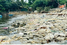 Bờ biển dài hàng trăm mét ở Quảng Ngãi bị rác thải phủ kín