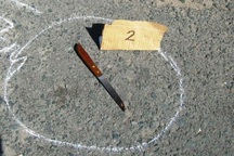 Thiếu nợ vài trăm ngàn, anh đâm chết em ruột