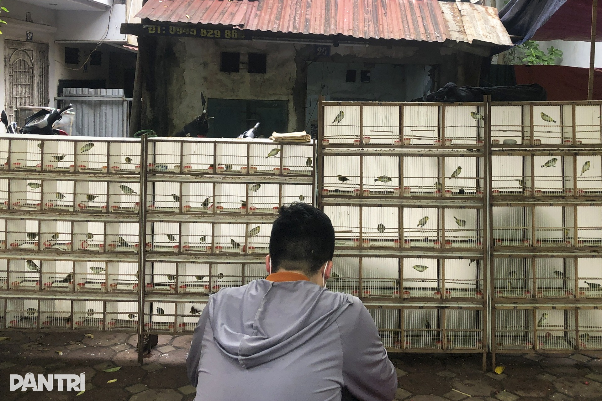Phiên chợ Bưởi cuối cùng trong năm mang dấu ấn văn hóa Hà Nội xưa - 5 Phiên chợ Bưởi cuối cùng trong năm mang dấu ấn văn hóa Hà Nội xưa - 5
