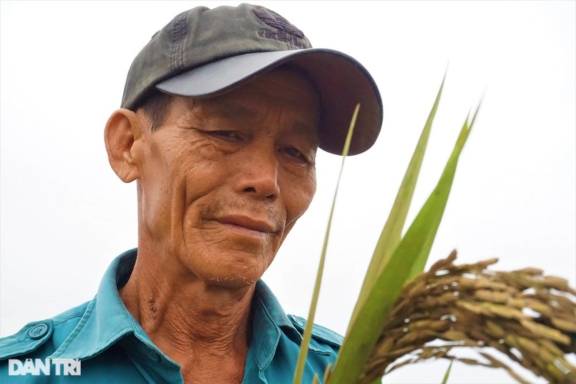 Nông dân bật khóc, bất lực nhìn mưa lũ cướp đi sản nghiệp - 4 Nông dân bật khóc, bất lực nhìn mưa lũ cướp đi sản nghiệp - 4
