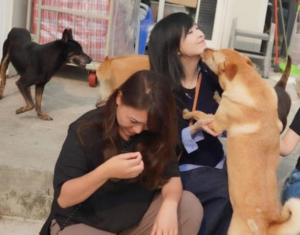 Ngoại hình trẻ đáng kinh ngạc ở tuổi 56 của biểu tượng sắc đẹp Châu Huệ Mẫn - 4 Ngoại hình trẻ đáng kinh ngạc ở tuổi 56 của biểu tượng sắc đẹp Châu Huệ Mẫn - 4