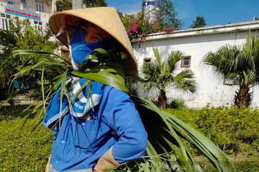 Trốn nắng nóng, hàng chục công nhân "ngụy trang" bằng lá cọ