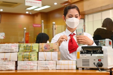 Người hưởng lương cao nhất ở TPHCM năm 2024 là 863 triệu đồng/tháng