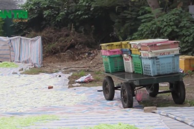 Phát hiện sân phơi mứt bí lộ thiên ngay sát nhà vệ sinh