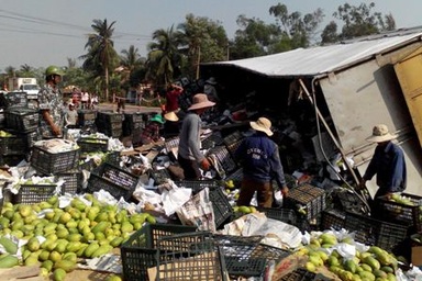 Hơn 10 tấn xoài đổ tràn đường, dân giúp tài xế thu gom hàng