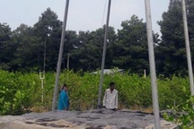 Khấm khá với nghề nuôi dơi lấy… phân