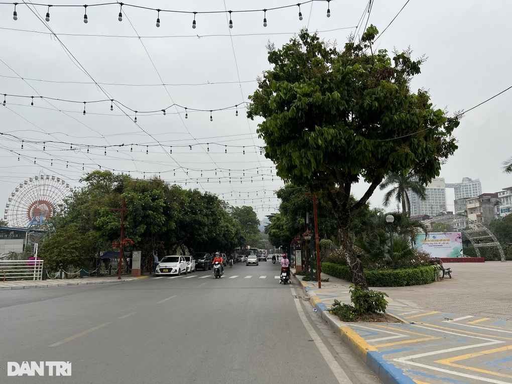 Sở Xây dựng Hà Nội nói về đề nghị di chuyển 55 cây ở phố Vũ Tuấn Chiêu - 7 Sở Xây dựng Hà Nội nói về đề nghị di chuyển 55 cây ở phố Vũ Tuấn Chiêu - 7