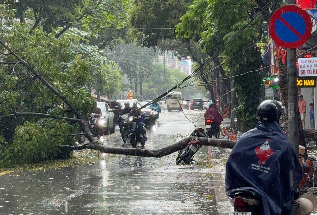 Cây xanh bật gốc giữa trời mưa, đè trúng người đi xe máy ở Hà Nội - 2