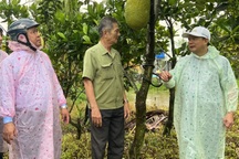 "Đa dạng hóa sinh kế để giúp dân thoát nghèo"